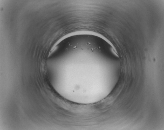 X0000065250044200603131139