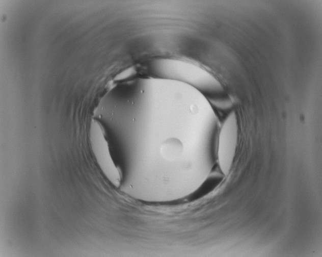 X0000065250045200603131139