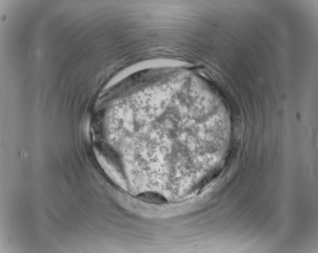 X0000065250047200603131139