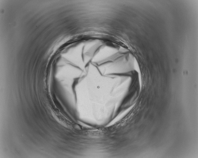 X0000065250050200603131138