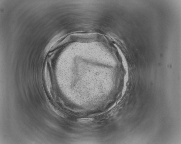 X0000065250051200603131138