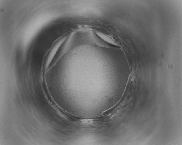 X0000065250052200603131138