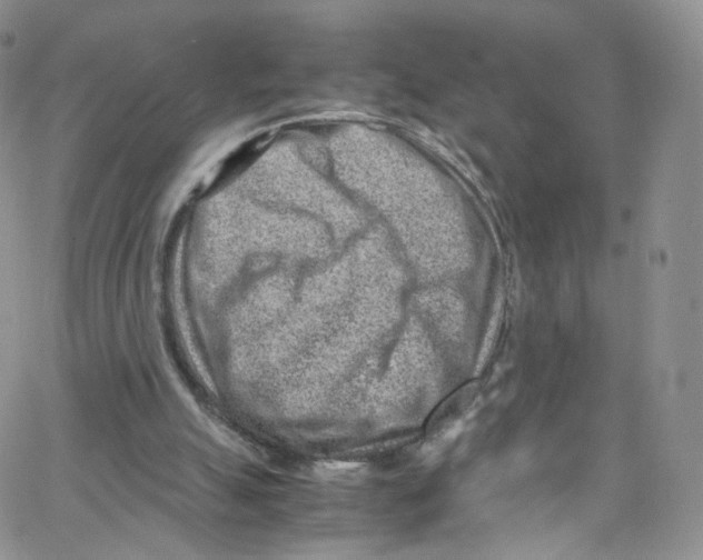 X0000065250055200603131138