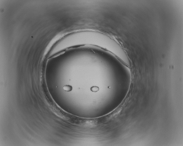 X0000065250056200603131138