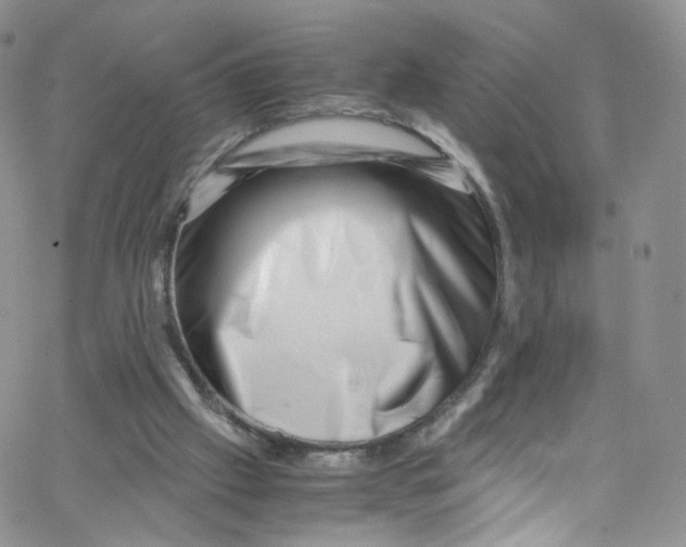 X0000065250057200603131138