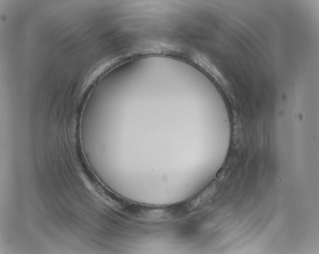 X0000065250058200603131138