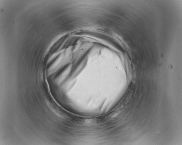 X0000065250060200603131138