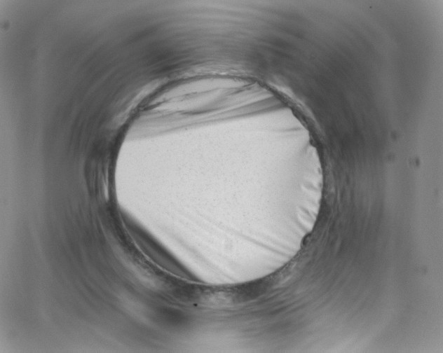 X0000065250062200603131138