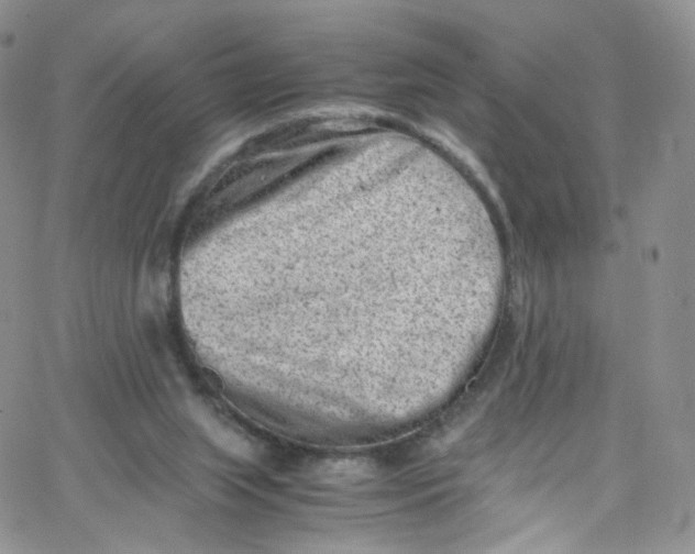 X0000065250063200603131138