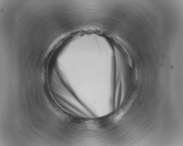 X0000065250064200603131138