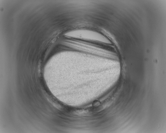 X0000065250065200603131138