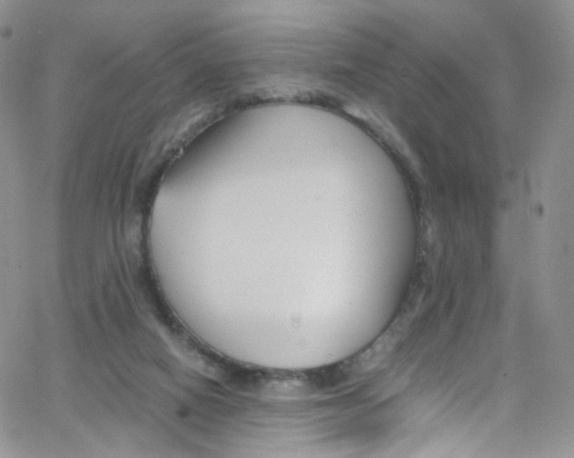 X0000065250066200603131138