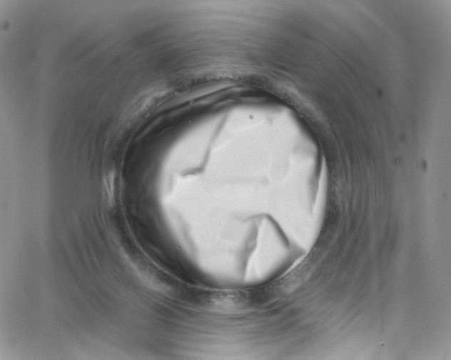 X0000065250070200603131138