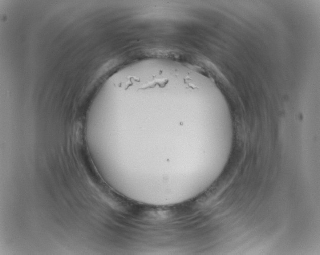 X0000065250071200603131138