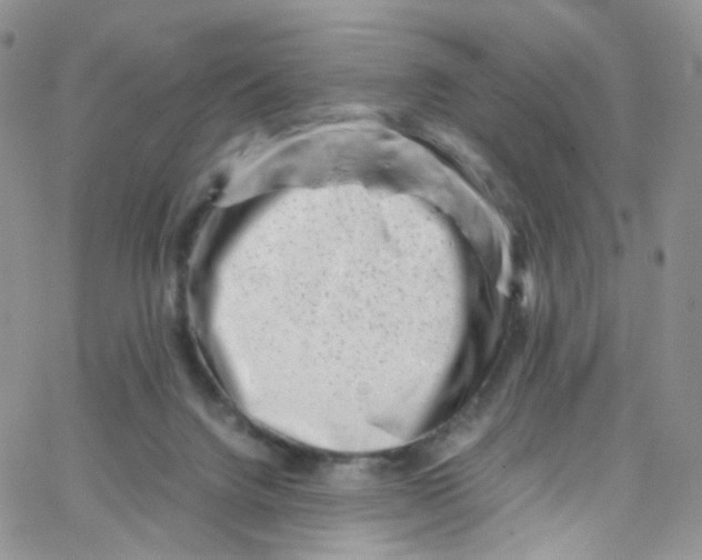 X0000065250072200603131138