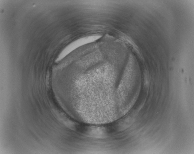 X0000065250073200603131138