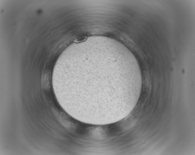 X0000065250074200603131138