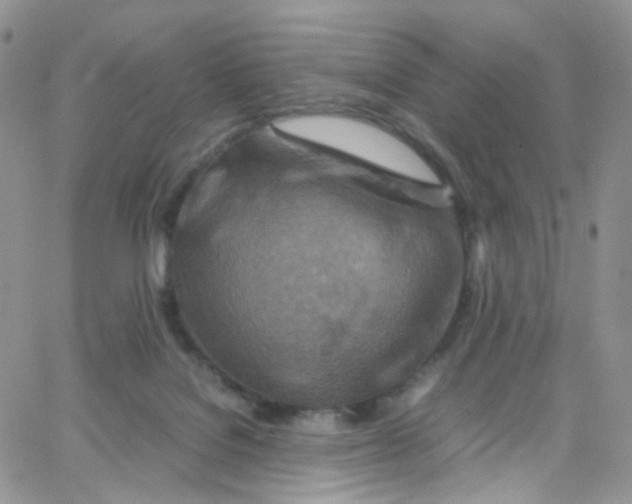 X0000065250076200603131138