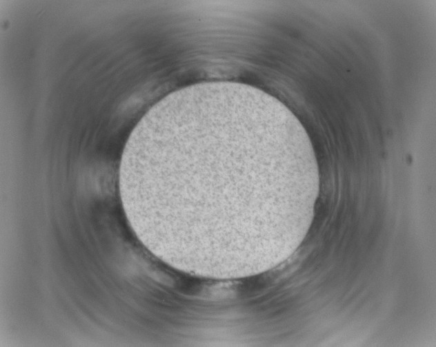 X0000065250078200603131138