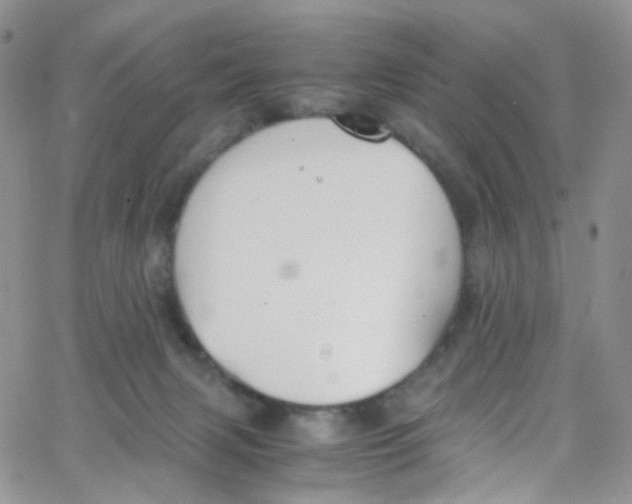 X0000065250079200603131138