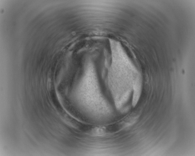 X0000065250080200603131138