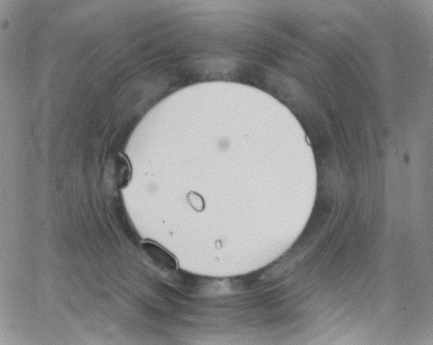 X0000065250083200603131138