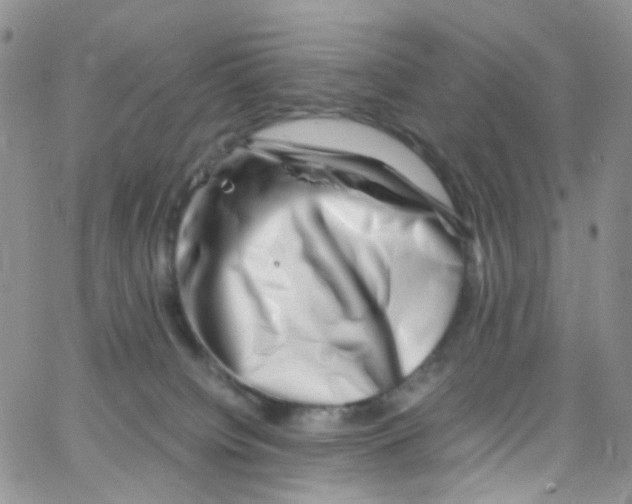 X0000065250084200603131138