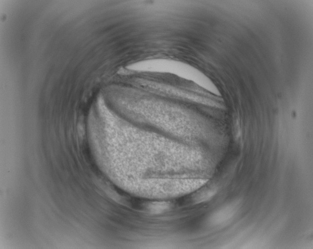 X0000065250085200603131138