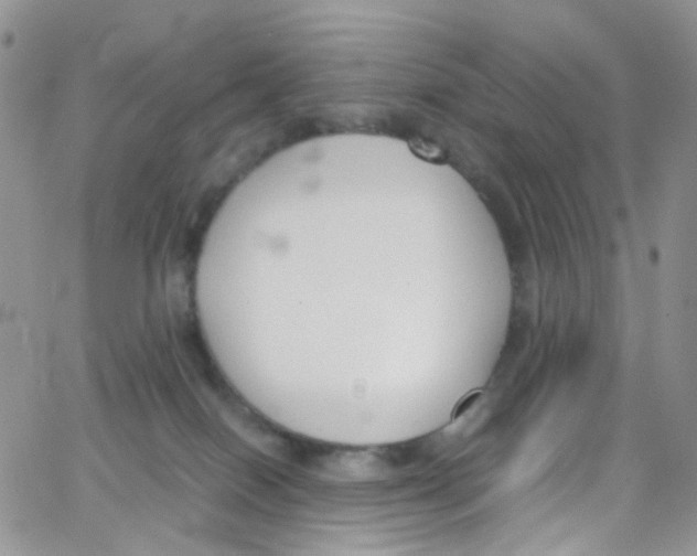 X0000065250086200603131138