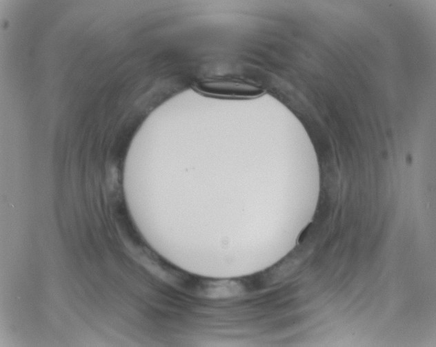 X0000065250087200603131138