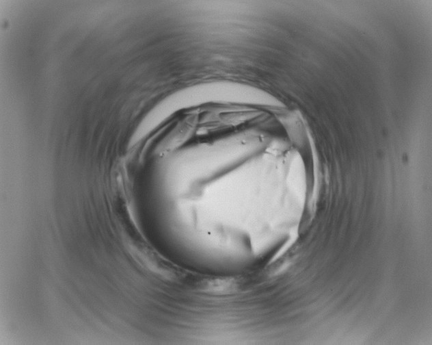 X0000065250088200603131139