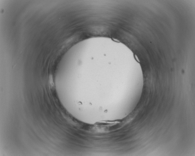 X0000065250089200603131139