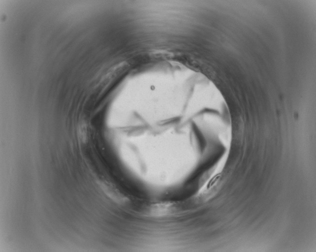 X0000065250090200603131139