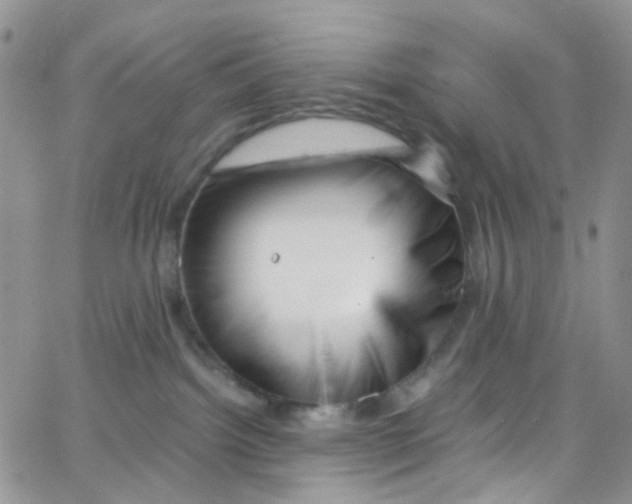 X0000065250092200603131139