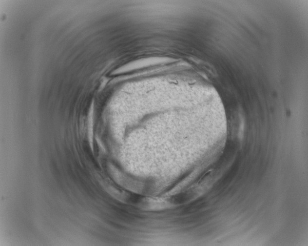 X0000065250093200603131139