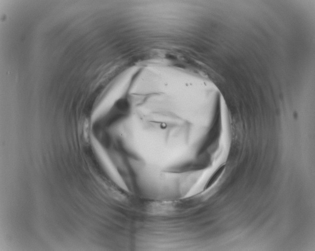 X0000065250094200603131139