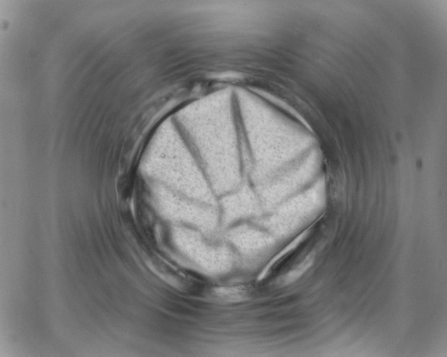 X0000065250095200603131139