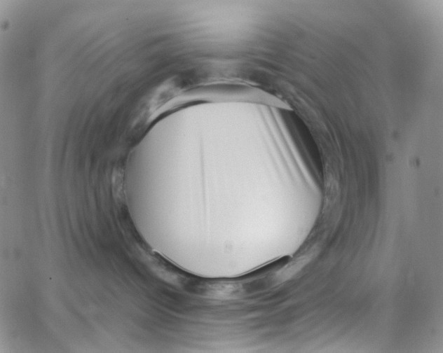 X0000065250096200603131139