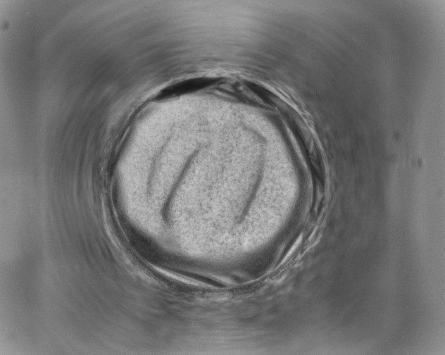 X0000065250097200603131138