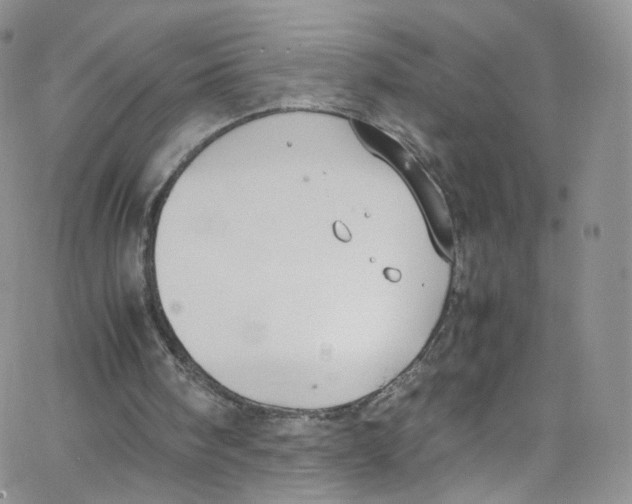 X0000065250098200603131138