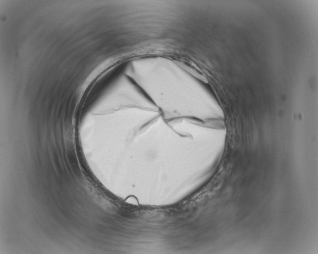 X0000065250100200603131138