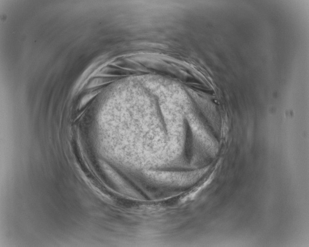 X0000065250101200603131138