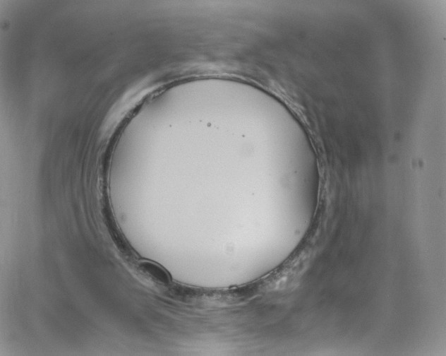 X0000065250103200603131138