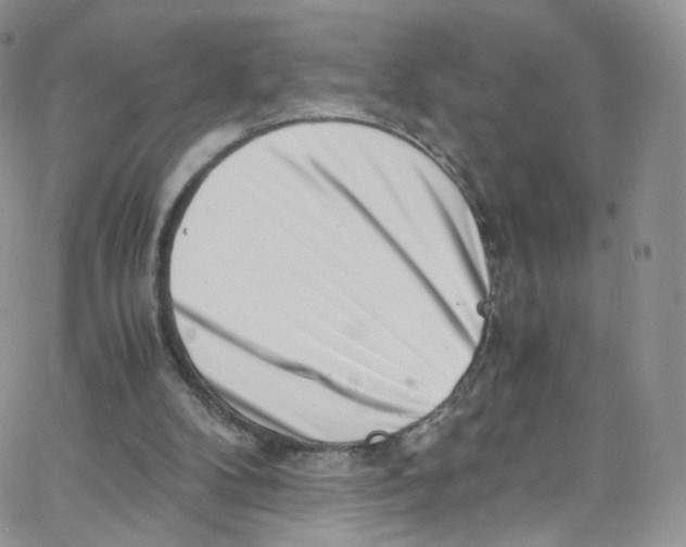 X0000065250104200603131138