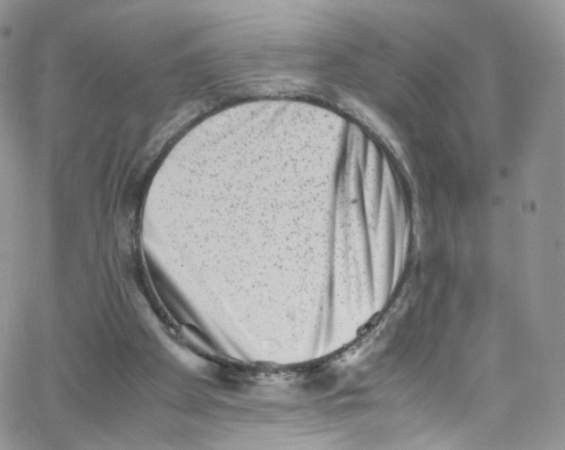 X0000065250105200603131138