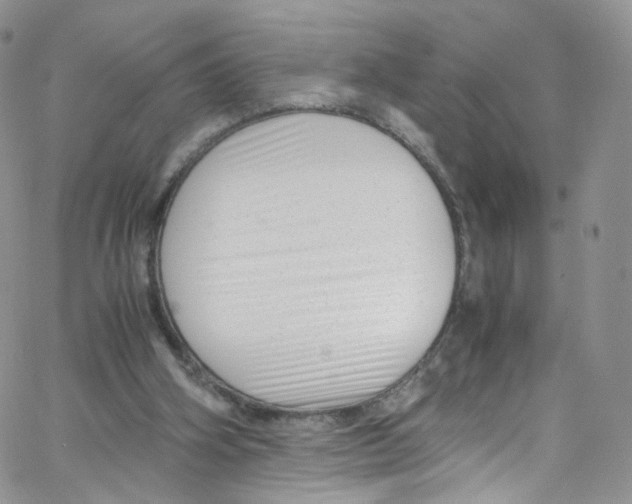 X0000065250106200603131138