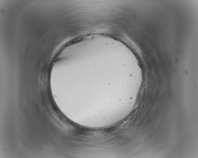 X0000065250107200603131138