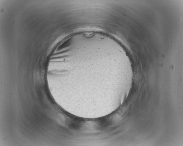 X0000065250111200603131138