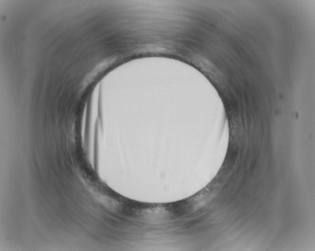 X0000065250112200603131138