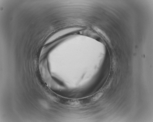 X0000065250113200603131138